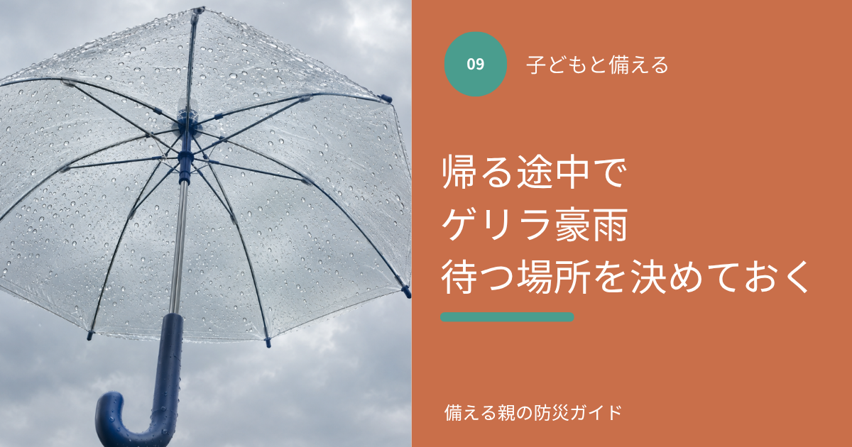 雨粒のついた透明な傘と、くもり空